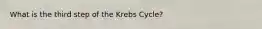 What is the third step of the Krebs Cycle?