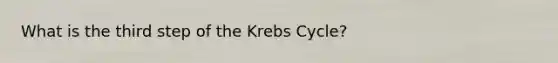 What is the third step of the Krebs Cycle?