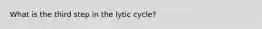 What is the third step in the lytic cycle?