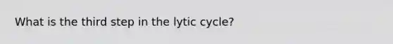 What is the third step in the lytic cycle?