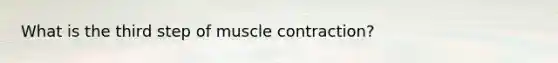 What is the third step of muscle contraction?