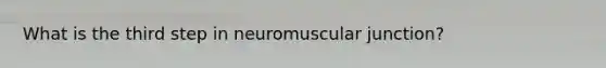 What is the third step in neuromuscular junction?