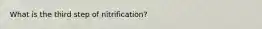 What is the third step of nitrification?