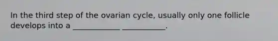 In the third step of the ovarian cycle, usually only one follicle develops into a ____________ ___________.