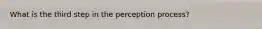 What is the third step in the perception process?