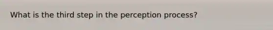 What is the third step in the perception process?