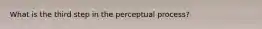 What is the third step in the perceptual process?