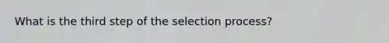 What is the third step of the selection process?