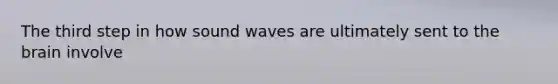 The third step in how sound waves are ultimately sent to the brain involve