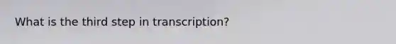 What is the third step in transcription?