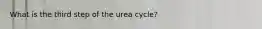 What is the third step of the urea cycle?