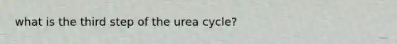 what is the third step of the urea cycle?