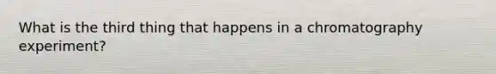 What is the third thing that happens in a chromatography experiment?