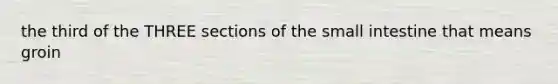 the third of the THREE sections of the small intestine that means groin