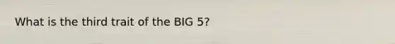 What is the third trait of the BIG 5?