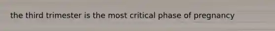 the third trimester is the most critical phase of pregnancy