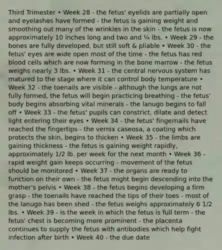 Third Trimester • Week 28 - the fetus' eyelids are partially open and eyelashes have formed - the fetus is gaining weight and smoothing out many of the wrinkles in the skin - the fetus is now approximately 10 inches long and two and ¼ lbs. • Week 29 - the bones are fully developed, but still soft & pliable • Week 30 - the fetus' eyes are wide open most of the time - the fetus has red blood cells which are now forming in the bone marrow - the fetus weighs nearly 3 lbs. • Week 31 - the central nervous system has matured to the stage where it can control body temperature • Week 32 - the toenails are visible - although the lungs are not fully formed, the fetus will begin practicing breathing - the fetus' body begins absorbing vital minerals - the lanugo begins to fall off • Week 33 - the fetus' pupils can constrict, dilate and detect light entering their eyes • Week 34 - the fetus' fingernails have reached the fingertips - the vernix caseosa, a coating which protects the skin, begins to thicken • Week 35 - the limbs are gaining thickness - the fetus is gaining weight rapidly, approximately 1/2 lb. per week for the next month • Week 36 - rapid weight gain keeps occurring - movement of the fetus should be monitored • Week 37 - the organs are ready to function on their own - the fetus might begin descending into the mother's pelvis • Week 38 - the fetus begins developing a firm grasp - the toenails have reached the tips of their toes - most of the lanugo has been shed - the fetus weighs approximately 6 1/2 lbs. • Week 39 - is the week in which the fetus is full term - the fetus' chest is becoming more prominent - the placenta continues to supply the fetus with antibodies which help fight infection after birth • Week 40 - the due date