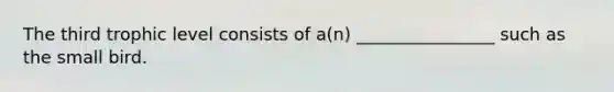 The third trophic level consists of a(n) ________________ such as the small bird.