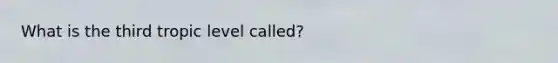 What is the third tropic level called?