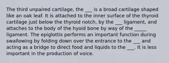 The third unpaired cartilage, the ___ is a broad cartilage shaped like an oak leaf. It is attached to the inner surface of the thyroid cartilage just below the thyroid notch, by the ___ ligament, and attaches to the body of the hyoid bone by way of the _____ ligament. The epiglottis performs an important function during swallowing by folding down over the entrance to the ___ and acting as a bridge to direct food and liquids to the ___. It is less important in the production of voice.