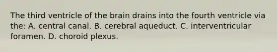 The third ventricle of the brain drains into the fourth ventricle via the: A. central canal. B. cerebral aqueduct. C. interventricular foramen. D. choroid plexus.