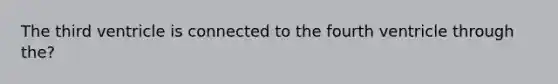 The third ventricle is connected to the fourth ventricle through the?