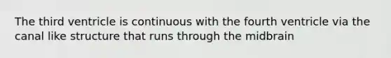 The third ventricle is continuous with the fourth ventricle via the canal like structure that runs through the midbrain