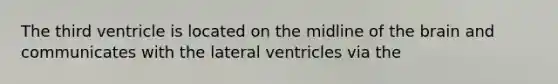 The third ventricle is located on the midline of <a href='https://www.questionai.com/knowledge/kLMtJeqKp6-the-brain' class='anchor-knowledge'>the brain</a> and communicates with the lateral ventricles via the