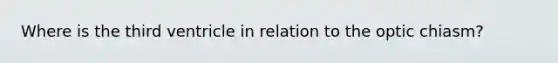 Where is the third ventricle in relation to the optic chiasm?