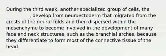 During the third week, another specialized group of cells, the __________, develop from neuroectoderm that migrated from the crests of the neural folds and then dispersed within the mesenchyme to become involved in the development of many face and neck structures, such as the branchial arches, because they differentiate to form most of the <a href='https://www.questionai.com/knowledge/kYDr0DHyc8-connective-tissue' class='anchor-knowledge'>connective tissue</a> of the head.