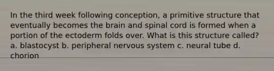 In the third week following conception, a primitive structure that eventually becomes the brain and spinal cord is formed when a portion of the ectoderm folds over. What is this structure called? a. blastocyst b. peripheral nervous system c. neural tube d. chorion