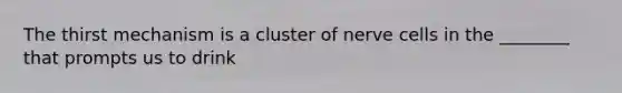 The thirst mechanism is a cluster of nerve cells in the ________ that prompts us to drink