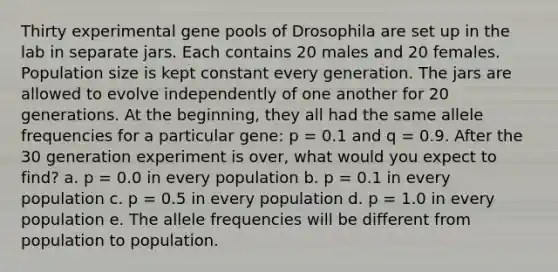 Thirty experimental gene pools of Drosophila are set up in the lab in separate jars. Each contains 20 males and 20 females. Population size is kept constant every generation. The jars are allowed to evolve independently of one another for 20 generations. At the beginning, they all had the same allele frequencies for a particular gene: p = 0.1 and q = 0.9. After the 30 generation experiment is over, what would you expect to find? a. p = 0.0 in every population b. p = 0.1 in every population c. p = 0.5 in every population d. p = 1.0 in every population e. The allele frequencies will be different from population to population.