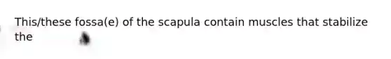 This/these fossa(e) of the scapula contain muscles that stabilize the