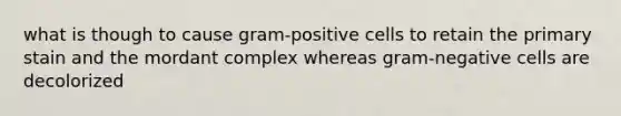 what is though to cause gram-positive cells to retain the primary stain and the mordant complex whereas gram-negative cells are decolorized