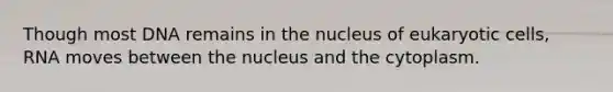 Though most DNA remains in the nucleus of eukaryotic cells, RNA moves between the nucleus and the cytoplasm.