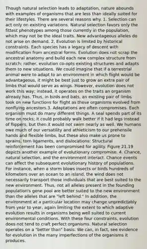 Though natural selection leads to adaptation, nature abounds with examples of organisms that are <a href='https://www.questionai.com/knowledge/k7BtlYpAMX-less-than' class='anchor-knowledge'>less than</a> ideally suited for their lifestyles. There are several reasons why. 1. Selection can act only on existing variations. Natural selection favors only the fittest phenotypes among those currently in the population, which may not be the ideal traits. New advantageous alleles do not arise on demand. 2. Evolution is limited by historical constraints. Each species has a legacy of descent with modification from ancestral forms. Evolution does not scrap the ancestral anatomy and build each new complex structure from scratch; rather, evolution co-opts existing structures and adapts them to new situations. We could imagine that if a terrestrial animal were to adapt to an environment in which flight would be advantageous, it might be best just to grow an extra pair of limbs that would serve as wings. However, evolution does not work this way; instead, it operates on the traits an organism already has. Thus, in birds and bats, an existing pair of limbs took on new functions for flight as these organisms evolved from nonflying ancestors.3. Adaptations are often compromises. Each organism must do many different things. A seal spends part of its time on rocks; it could probably walk better if it had legs instead of flippers, but then it would not swim nearly as well. We humans owe much of our versatility and athleticism to our prehensile hands and flexible limbs, but these also make us prone to sprains, torn ligaments, and dislocations: Structural reinforcement has been compromised for agility. Figure 21.19 depicts another example of evolutionary compromise. 4. Chance, natural selection, and the environment interact. Chance events can affect the subsequent evolutionary history of populations. For instance, when a storm blows insects or birds hundreds of kilometers over an ocean to an island, the wind does not necessarily transport those individuals that are best suited to the new environment. Thus, not all alleles present in the founding population's gene pool are better suited to the new environment than the alleles that are "left behind." In addition, the environment at a particular location may change unpredictably from year to year, again limiting the extent to which adaptive evolution results in organisms being well suited to current environmental conditions. With these four constraints, evolution does not tend to craft perfect organisms. Natural selection operates on a "better than" basis. We can, in fact, see <a href='https://www.questionai.com/knowledge/kl4L0eHhUT-evidence-for-evolution' class='anchor-knowledge'>evidence for evolution</a> in the many imperfections of the organisms it produces.
