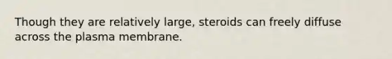 Though they are relatively large, steroids can freely diffuse across the plasma membrane.