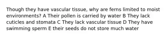 Though they have vascular tissue, why are ferns limited to moist environments? A Their pollen is carried by water B They lack cuticles and stomata C They lack vascular tissue D They have swimming sperm E their seeds do not store much water