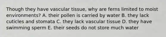 Though they have <a href='https://www.questionai.com/knowledge/k1HVFq17mo-vascular-tissue' class='anchor-knowledge'>vascular tissue</a>, why are ferns limited to moist environments? A. their pollen is carried by water B. they lack cuticles and stomata C. they lack vascular tissue D. they have swimming sperm E. their seeds do not store much water