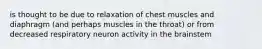 is thought to be due to relaxation of chest muscles and diaphragm (and perhaps muscles in the throat) or from decreased respiratory neuron activity in the brainstem