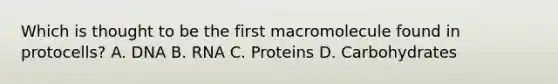 Which is thought to be the first macromolecule found in protocells? A. DNA B. RNA C. Proteins D. Carbohydrates