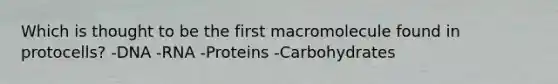 Which is thought to be the first macromolecule found in protocells? -DNA -RNA -Proteins -Carbohydrates