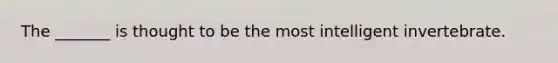 The _______ is thought to be the most intelligent invertebrate.