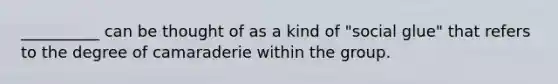 __________ can be thought of as a kind of "social glue" that refers to the degree of camaraderie within the group.