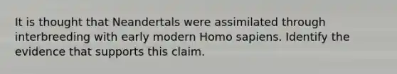 It is thought that Neandertals were assimilated through interbreeding with early modern Homo sapiens. Identify the evidence that supports this claim.