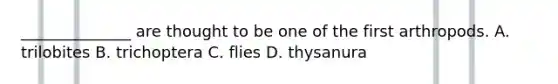 ______________ are thought to be one of the first arthropods. A. trilobites B. trichoptera C. flies D. thysanura