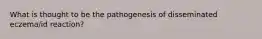 What is thought to be the pathogenesis of disseminated eczema/id reaction?