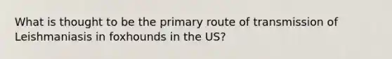 What is thought to be the primary route of transmission of Leishmaniasis in foxhounds in the US?