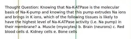 Thought Question: Knowing that Na-K-ATPase is the molecular basis of Na-K-pump and knowing that this pump extrudes Na ions and brings in K ions, which of the following tissues is likely to have the highest level of Na-K-ATPase activity (i.e. Na pump) in their membrane? a. Muscle (myocytes) b. Brain (neurons) c. Red blood cells d. Kidney cells e. Bone cells